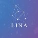 What is Linear Finance (LINA)?