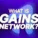 A Complete Details on How to Buy GNS and GNS Price